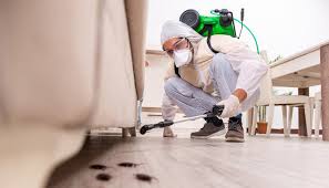 Best Bed Bug Extermination  in Taft, FL